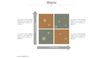 Matrix Ppt PowerPoint Presentation Infographics