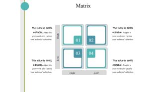Matrix Ppt PowerPoint Presentation Pictures Inspiration