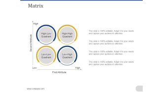 Matrix Ppt PowerPoint Presentation Pictures Layout Ideas