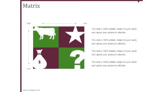 Matrix Ppt PowerPoint Presentation Pictures