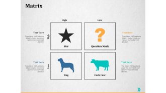 Matrix Ppt PowerPoint Presentation Portfolio Graphic Images