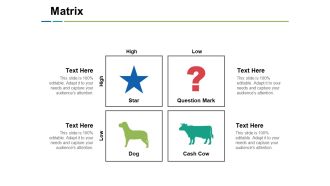 Matrix Ppt PowerPoint Presentation Portfolio Objects