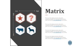 Matrix Ppt PowerPoint Presentation Professional Portrait