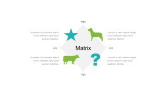 Matrix Ppt PowerPoint Presentation Styles Themes