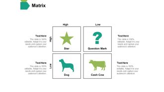 Matrix Ppt PowerPoint Presentation Visual Aids Infographics