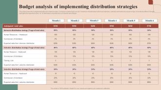 Maximizing Profit Returns With Right Distribution Source Budget Analysis Of Implementing Distribution Strategies Elements PDF