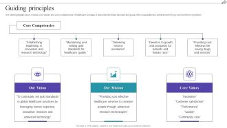 Medical Care Company Overview Guiding Principles Elements PDF