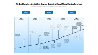 Medical Services Market Intelligence Reporting Model Three Months Roadmap Background