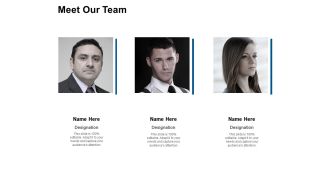 Meet Our Team Ppt PowerPoint Presentation Summary Graphics Example