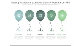 Meeting Facilitation Examples Sample Presentation Ppt