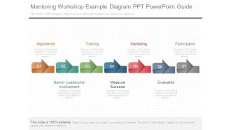 Mentoring Workshop Example Diagram Ppt Powerpoint Guide