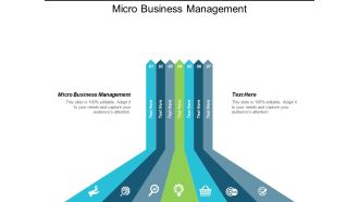 Micro Business Management Ppt Powerpoint Presentation Show Graphics Cpb