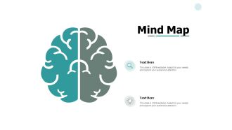 Mind Map Knowledge Ppt PowerPoint Presentation Professional Examples