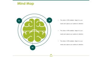 Mind Map Ppt PowerPoint Presentation Icon Designs