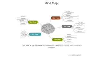 Mind Map Ppt PowerPoint Presentation Layouts