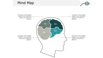 Mind Map Ppt PowerPoint Presentation Styles Graphics