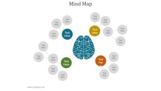 Mind Map Ppt PowerPoint Presentation Topics
