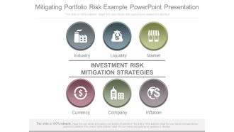 Mitigating Portfolio Risk Example Powerpoint Presentation