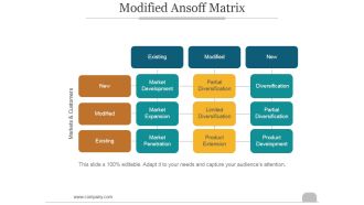 Modified Ansoff Matrix Ppt PowerPoint Presentation Graphics