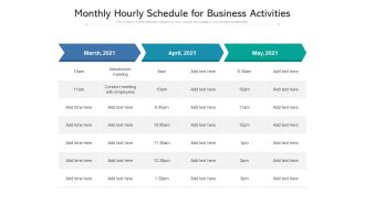 Monthly Hourly Schedule For Business Activities Ppt PowerPoint Presentation File Professional PDF
