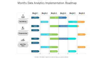 Months Data Analytics Implementation Roadmap Structure