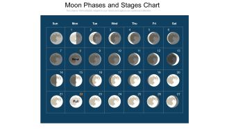 Moon Phases And Stages Chart Ppt PowerPoint Presentation File Inspiration PDF