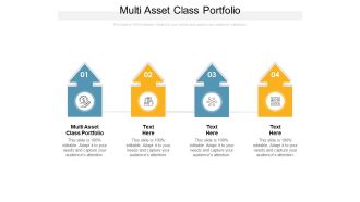 Multi Asset Class Portfolio Ppt PowerPoint Presentation Outline Example Cpb