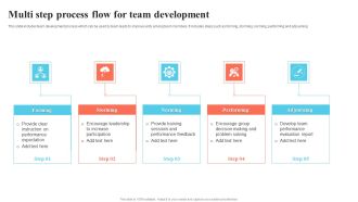 Multi Step Process Flow For Team Development Download PDF