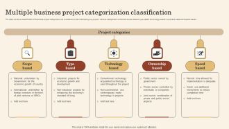 Multiple Business Project Categorization Classification Structure PDF
