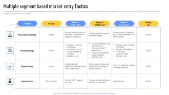 Multiple Segment Based Market Entry Tactics Graphics PDF
