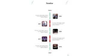 Musicians Function Proposal Timeline One Pager Sample Example Document