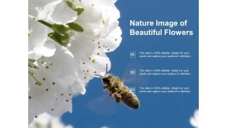Nature Image Of Beautiful Flowers Ppt PowerPoint Presentation Portfolio Slide Portrait