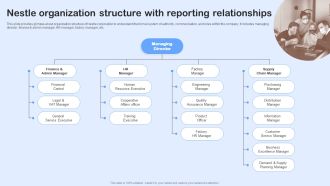 Nestle Performance Management Report Nestle Organization Structure With Reporting Graphics PDF