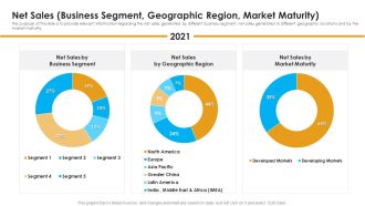Net Sales Business Segment Geographic Region Market Maturity Information PDF