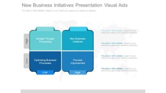 New Business Initiatives Presentation Visual Aids