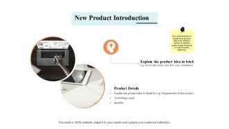 New Product Introduction Ppt PowerPoint Presentation Outline Styles