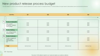 New Product Release Process Budget Summary PDF