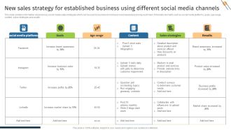 New Sales Strategy For Established Business Using Different Social Media Channels Introduction PDF