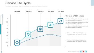 New Service Launch Plan Service Life Cycle Ppt Icon Example PDF