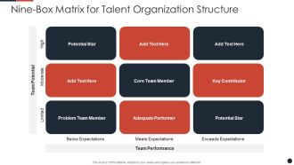 Nine-Box Matrix For Talent Organization Structure Structure PDF