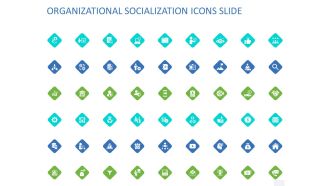 ORGANIZATIONAL SOCIALIZATION ICONS SLIDE Ppt PowerPoint Presentation Professional Infographics PDF