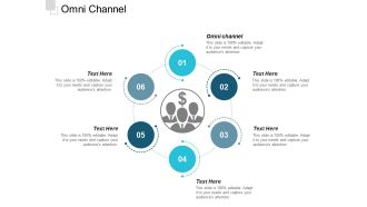 Omni Channel Ppt PowerPoint Presentation Show Guidelines
