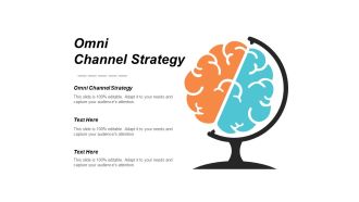 Omni Channel Strategy Ppt PowerPoint Presentation File Shapes Cpb