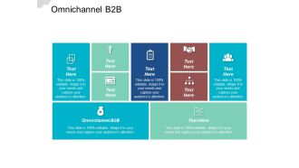 Omnichannel B2B Ppt PowerPoint Presentation File Design Inspiration Cpb