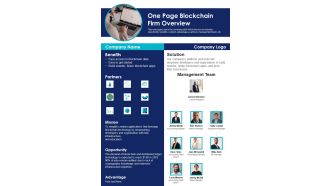 One Page Blockchain Firm Overview PDF Document PPT Template