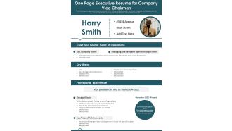 One Page Executive Resume For Company Vice Chairman PDF Document PPT Template