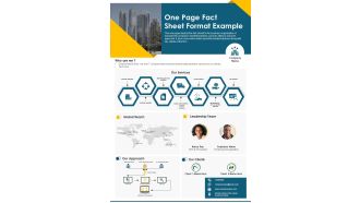 One Page Fact Sheet Format Example PDF Document PPT Template