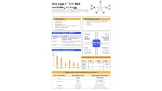 One Page IT Firm B2B Marketing Strategy PDF Document PPT Template
