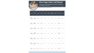 One Page Sales Call Report PDF Document PPT Template