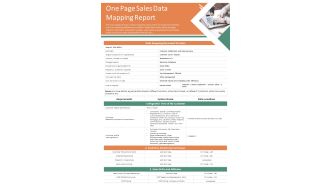 One Page Sales Data Mapping Report PDF Document PPT Template